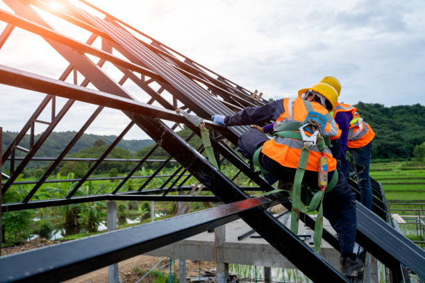Best Roof Leak Repair  in Morton, IL